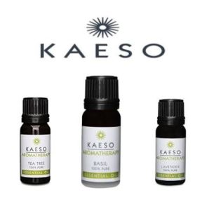 Kaeso Aromatherapy Sandalwood Essential Oil 10ml