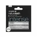 Salon Systems Extra Vol Individual Lashes Med